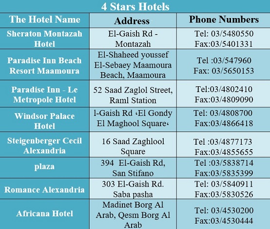 Hotel reviews in Alexandria